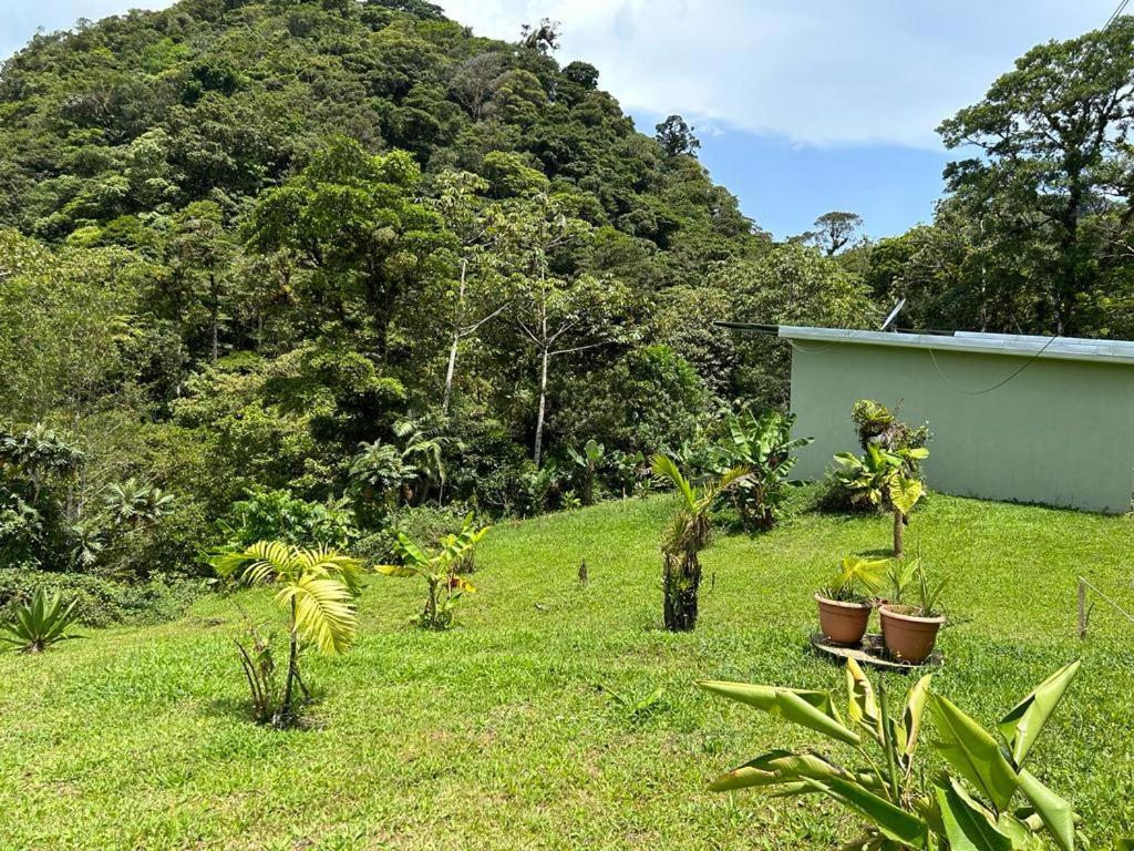 Selvatica Del Toro Apartment Bajos del Toro Exterior photo